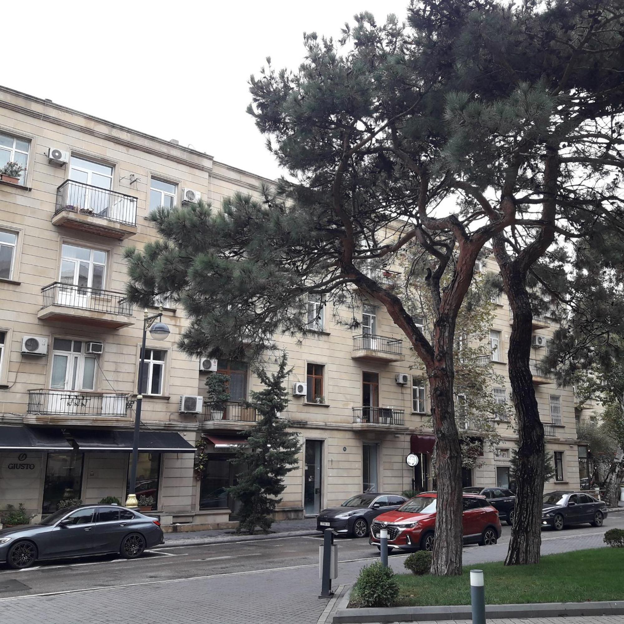 Apartment Niyazi 5 Baku Exteriör bild